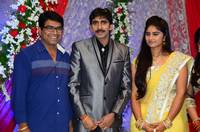 Gopichand Malineni Wedding Reception Gallery